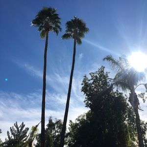 Meet your Posher, Jocelyn